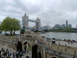 IMG20240513121226.jpg