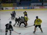 IMG_8781.jpg