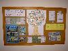 components/com_spgm/spgm/gal/akce/den_od_07_08/_thb_pict3353.jpg