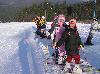 components/com_spgm/spgm/gal/akce/lv_1st_2008/_thb_p2140118.jpg