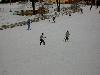 components/com_spgm/spgm/gal/akce/lv_2007/_thb_pict2593.jpg