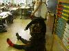 components/com_spgm/spgm/gal/akce/mikulas_06/_thb_pict2520.jpg