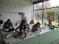 components/com_spgm/spgm/gal/akce/prirodo_jarmark_12/_thb_IMG_8810.JPG