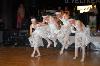 components/com_spgm/spgm/gal/akce/vecirek_09/_thb_dsc_0715.jpg