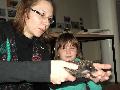 components/com_spgm/spgm/gal/druzina/jezci_13/_thb_DSCF0941.JPG