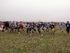 components/com_spgm/spgm/gal/sport/beh_17listopad/_thb_pict0802.jpg