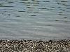 components/com_spgm/spgm/gal/sport/draci_lode_11/_thb_dlod_11_06.jpg