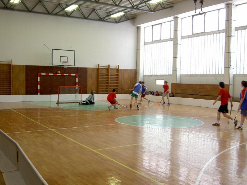 components/com_spgm/spgm/gal/sport/florbal_8_9/pict1336.jpg