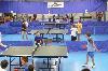 components/com_spgm/spgm/gal/sport/st_podzim10/_thb_P1110730.JPG