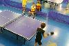 components/com_spgm/spgm/gal/sport/stolni_tenis_09/_thb_p1100118_1.jpg