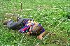 components/com_spgm/spgm/gal/turisti/indiani_08/_thb_img_0518.jpg