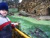 components/com_spgm/spgm/gal/turisti/zoo_lesna_08/_thb_img_1773.jpg