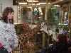 components/com_spgm/spgm/gal/turisti/zoo_lesna_08/_thb_p3061139.jpg
