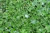 components/com_spgm/spgm/gal/vylety/3b_petrikov_08/_thb_p1070443.jpg