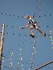 components/com_spgm/spgm/gal/vylety/6t_06/_thb_pict1737.jpg
