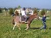 components/com_spgm/spgm/gal/vylety/kola_Radslavice_10/_thb_IMG_4173.JPG