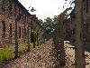 components/com_spgm/spgm/gal/vylety/osvetim_krakow_08/_thb_dsc01411.jpg