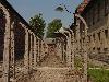 components/com_spgm/spgm/gal/vylety/osvetim_krakow_08/_thb_dsc01412.jpg