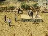 components/com_spgm/spgm/gal/vylety/westerncity/_thb_P1010154.JPG