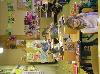 components/com_spgm/spgm/gal/vyuka/2.B_2006_07/_thb_PC050317.JPG